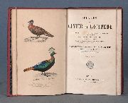 CUVIER y LACEPEDE. Contenant Le Complment de Buffon a lHistoire des Mammifres et des Oiseaux, 1875. 4 tomos (21)