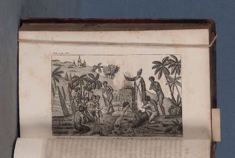 BANCAREL. Collection abrge des Voyages Anciens et Modernes autour du Monde, 1808-1809, 12 tomos. (57)