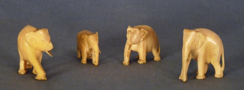 Elefantes distintos tamaos. (4)