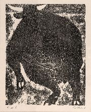 Seoane, toros y Toreros, Toro de Lidia, xilografía, 29 x 24 cm.