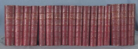 D´ORBIGNY (Charles). Dictionnaire d´Histoire Naturelle, 1848-1849. 16 tomos (19)