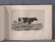 BAUDEMENT, Emile. Les races bovines au concours universel agricole de Paris en 1856. Etudes Zootechniques.