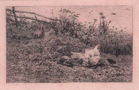 Daubigny, Paisaje con gallina, grabado 'La poule et ses poussins'