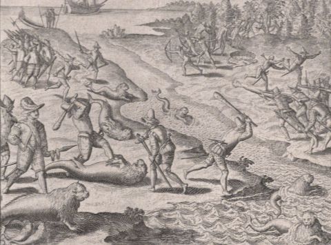BRY, Teodoro de. Puerto Deseado, matanza de lobos marinos, grabado al buril.