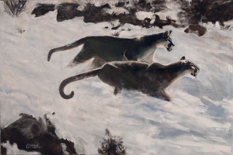 LUCARINI, Camilo. Pumas en la Nieve, leo 80 x 120