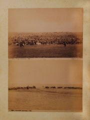 SAMUEL RIMATHÉ. Tropa de pastoreo, Contando una Tropa, Vacas Pastando, Puerto de Paisandú y Corrales de Abasto, Entrada