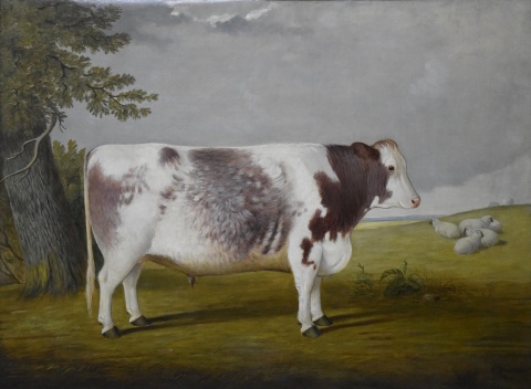 R. Harrington 1879, Toro Premiado (Bull Prize), óleo
