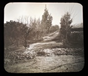 FERNANDEZ AQUILINO, CATAMARCA, Positivo de vidrio, ALAMEDA GENERAL NAVARRO, circa 1898, mide 7 x 7 cm.