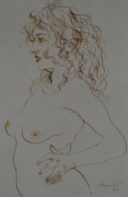 Carlos Alonso, Desnudo Femenino, tinta