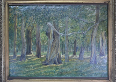 M. Messina, 1911. Bosque, ´oleo de 59 x 80 cm. firmado arriba a la izquierda.