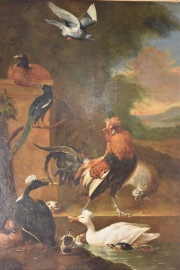 Cuadro de aves. Óleo escuela de Melchior de Hondecoeter. 163 x 125 cm.