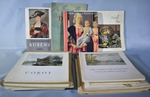 RUBENS, FRAGONARD, DEGAS, DELLA FRANCESCA, CEZANNE, COROT, etc. 14 libros de arte.
