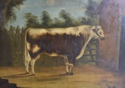 BULL OF THE LONGHORNED BREED (Toro), óleo reentelado, restauros. Atribuido a Thomas Weaver. Mide: 63 x 74 cm.