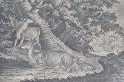 Dos Grabados por Johann Elias Ridinger 1698-1767, Ciervos en el bosque. 35 x 43 cm. Enmarcados.