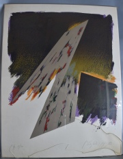 Perez Celis 1983, prueba de artista Numerado 14/20. Enmarcado original en acrílico, dañado. 65 x 50 cm.