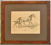 Cuatro litografías de caballos. Miden: 15 x 29 cm. 159