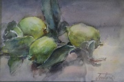 Venturi, Limones, acuarela. Mide: 25 x 36 cm.